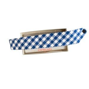 Crewcuts Preppy Blue and White Gingham Boy's Tie NWT
